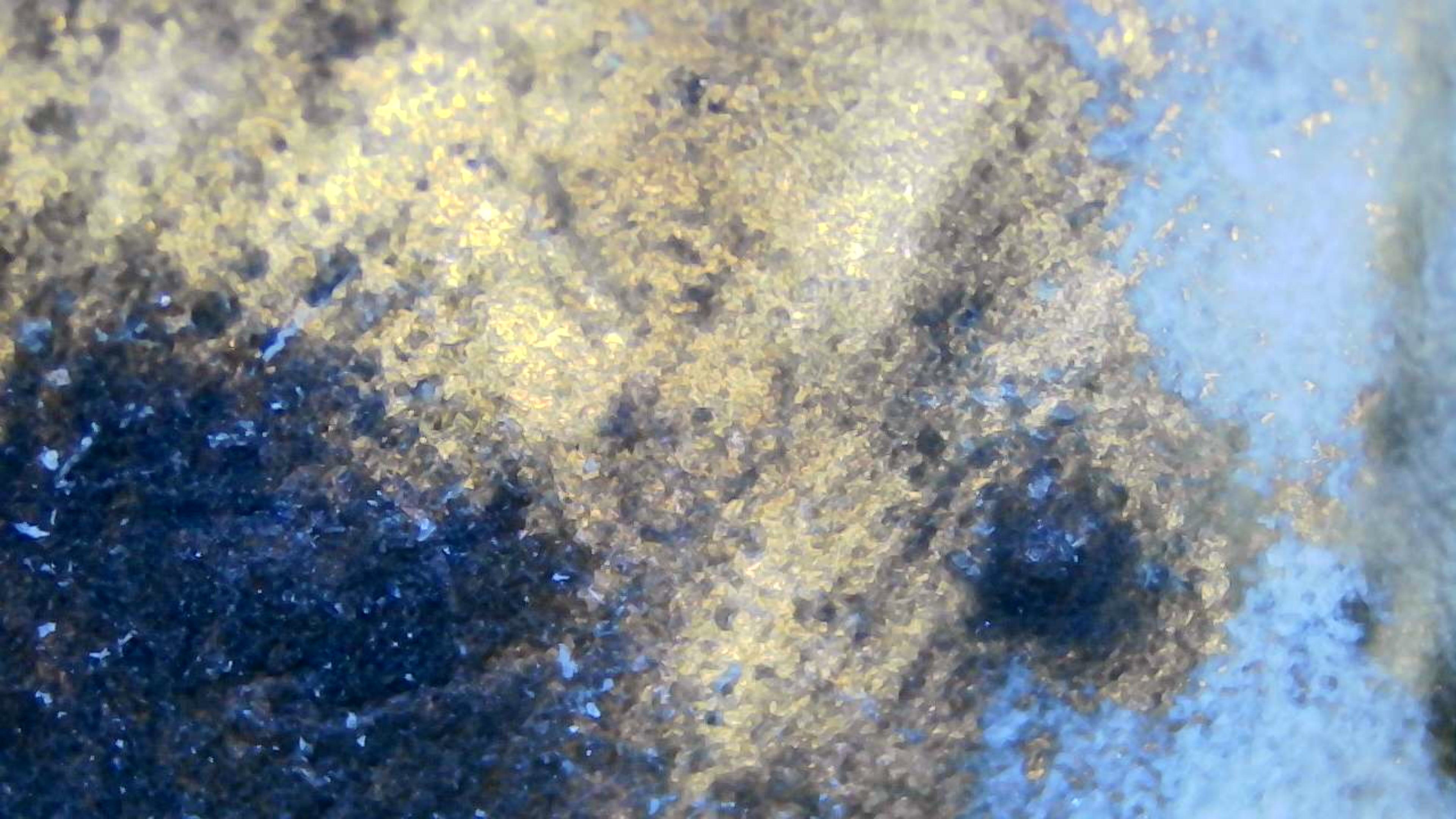 عينة مجهرية 7