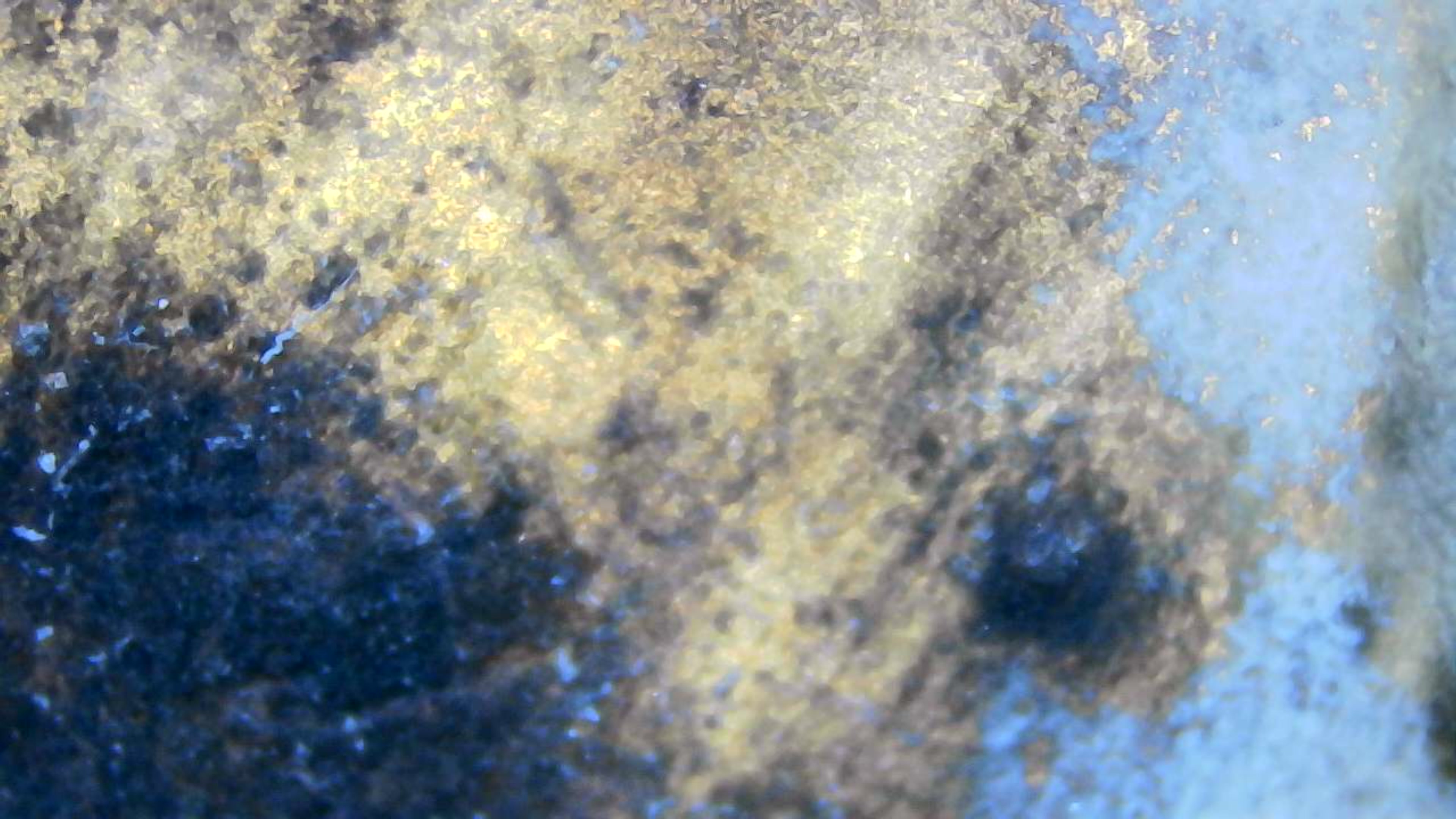 عينة مجهرية 8