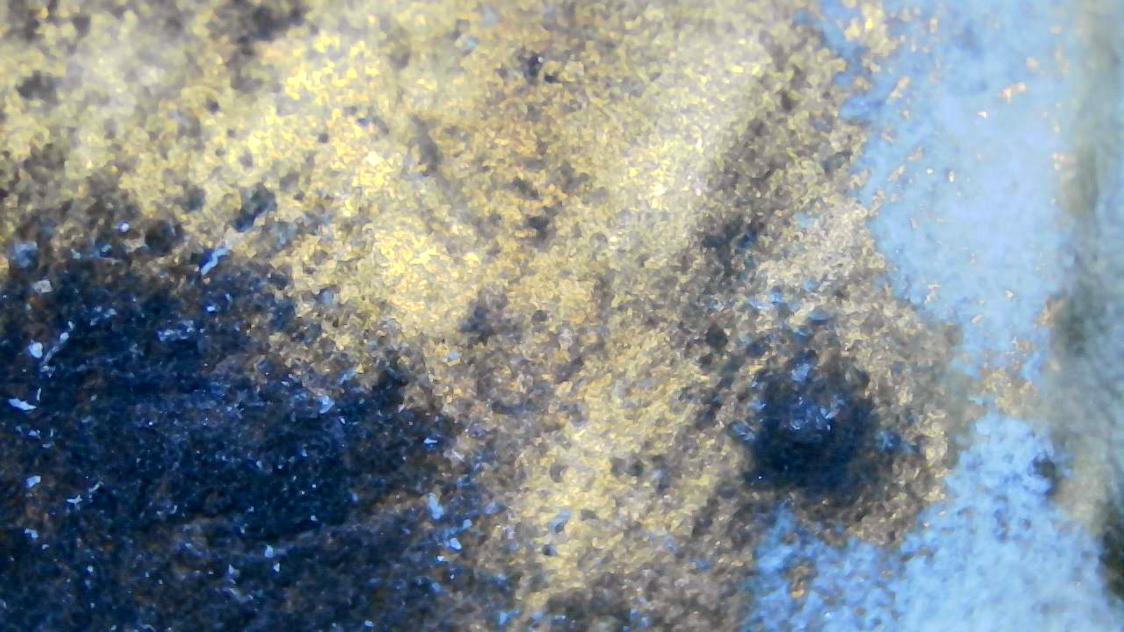 عينة مجهرية 9